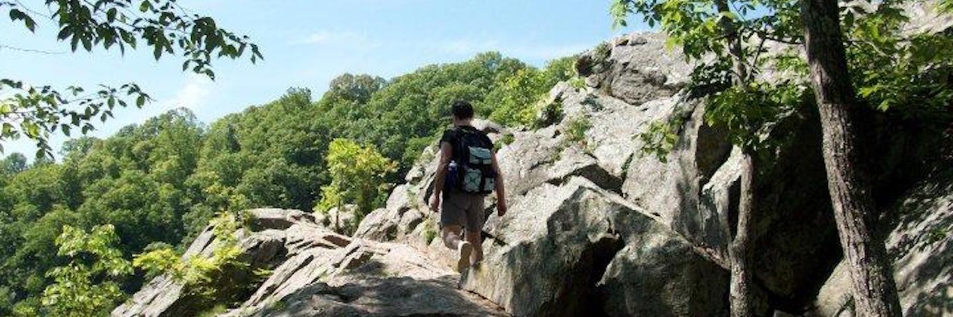 Learn How to Embrace Challenges as Triumphs