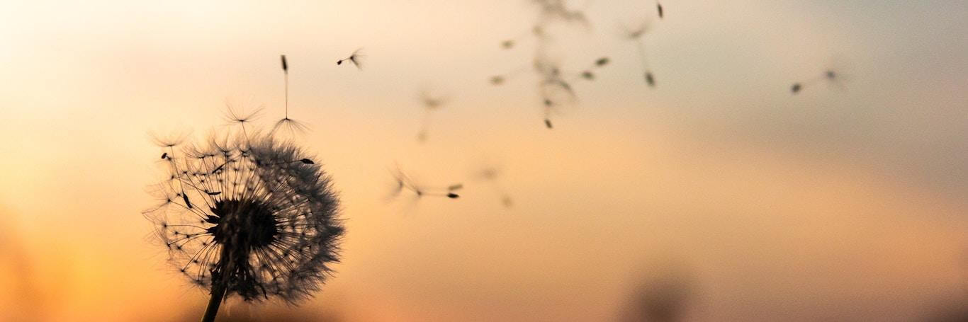 Ways You Can Improve Your Memory, Naturally