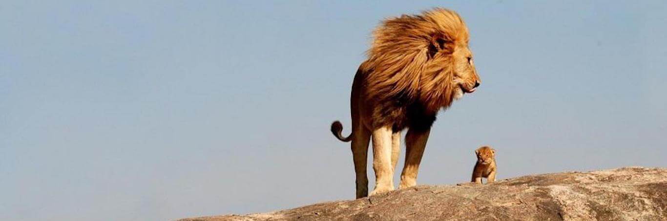 It Takes Courage to Become Who You Really Are